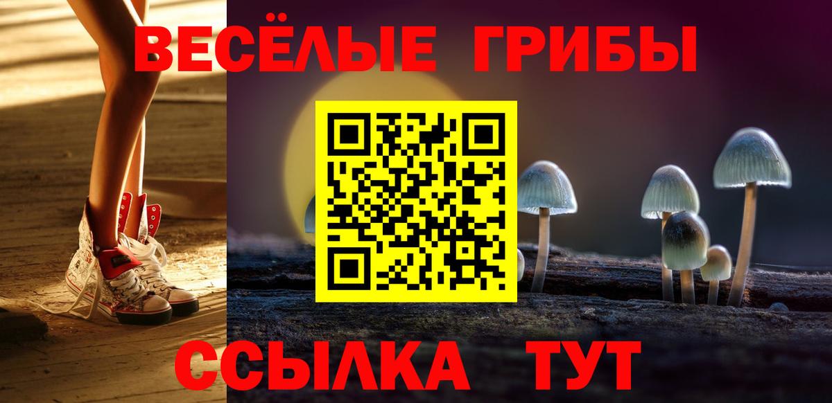 Галлюциногенные грибы прущие грибы Заречный