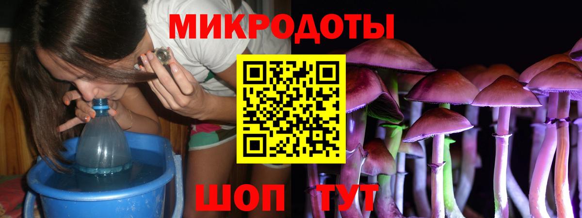 Заречный  Галлюциногенные грибы Psilocybe  купить наркотики сайты  Вход с VPN 